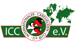 icc logo